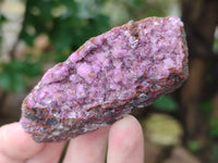 Natural Drusy Salrose Cobaltion Dolomite with Malachite, Chrysocolla, Heterogenite and Duftite specimens x 36 From Congo