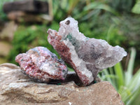 Natural Drusy Salrose Cobaltion Dolomite with Malachite, Chrysocolla, Heterogenite and Duftite specimens x 36 From Congo