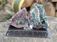 Natural Drusy Salrose Cobaltion Dolomite with Malachite, Chrysocolla, Heterogenite and Duftite specimens x 36 From Congo