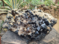 Natural XXL Schorl Black Tourmaline and Smokey Quartz Crystals Coated with Hyalite Opal Museum Specimen x 1 From Erongo, Namibia