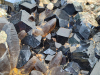 Natural XXL Schorl Black Tourmaline and Smokey Quartz Crystals Coated with Hyalite Opal Museum Specimen x 1 From Erongo, Namibia