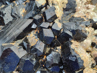 Natural XXL Schorl Black Tourmaline and Smokey Quartz Crystals Coated with Hyalite Opal Museum Specimen x 1 From Erongo, Namibia