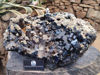 Natural XXL Schorl Black Tourmaline and Smokey Quartz Crystals Coated with Hyalite Opal Museum Specimen x 1 From Erongo, Namibia