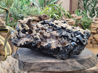 Natural XXL Schorl Black Tourmaline and Smokey Quartz Crystals Coated with Hyalite Opal Museum Specimen x 1 From Erongo, Namibia