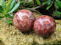 Polished Red Hematoid Quartz Spheres x 4 From Ambatondrazaka, Madagascar