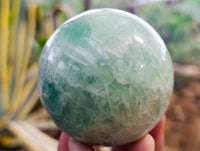 Polished Green Fluorite Spheres x 3 From Madagascar - Toprock Gemstones and Minerals 