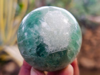 Polished Green Fluorite Spheres x 3 From Madagascar - Toprock Gemstones and Minerals 
