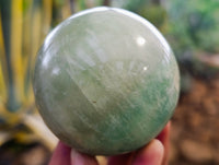 Polished Green Fluorite Spheres x 3 From Madagascar - Toprock Gemstones and Minerals 