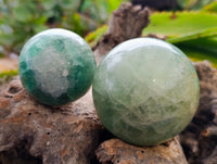 Polished Green Fluorite Spheres x 3 From Madagascar - Toprock Gemstones and Minerals 