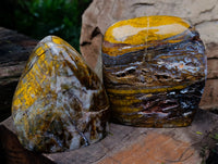 Polished Neolite Standing Free Forms x 2 From Prieska, South Africa - Toprock Gemstones and Minerals 