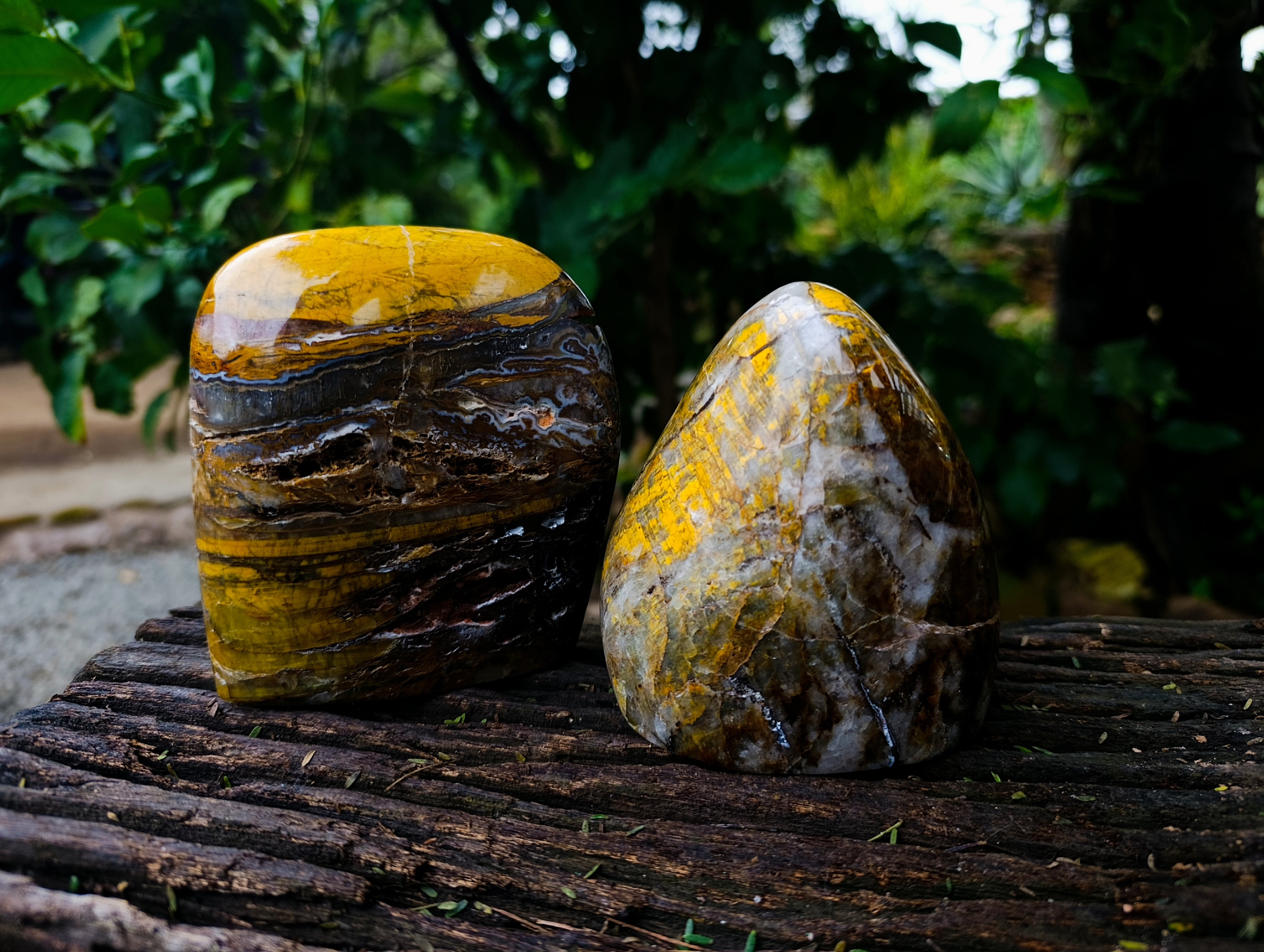 Polished Neolite Standing Free Forms x 2 From Prieska, South Africa - Toprock Gemstones and Minerals 