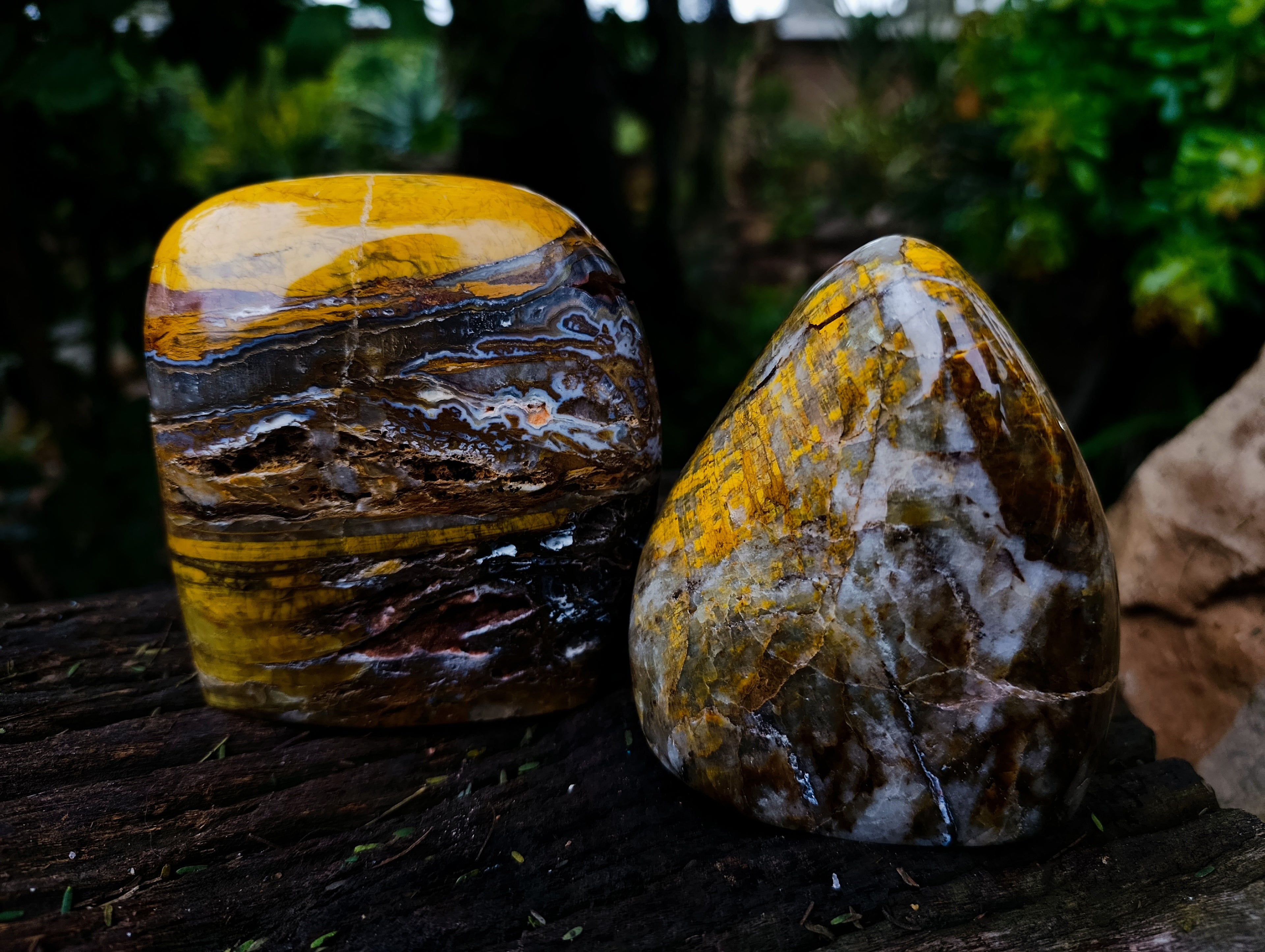 Polished Neolite Standing Free Forms x 2 From Prieska, South Africa - Toprock Gemstones and Minerals 