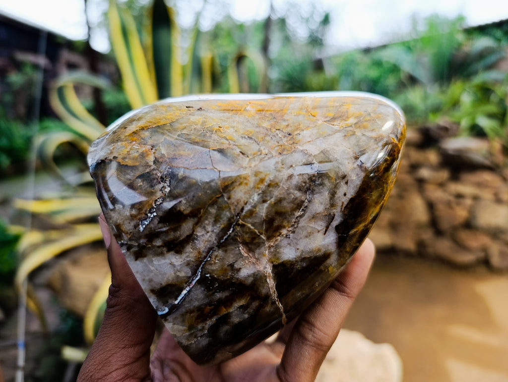 Polished Neolite Standing Free Forms x 2 From Prieska, South Africa - Toprock Gemstones and Minerals 