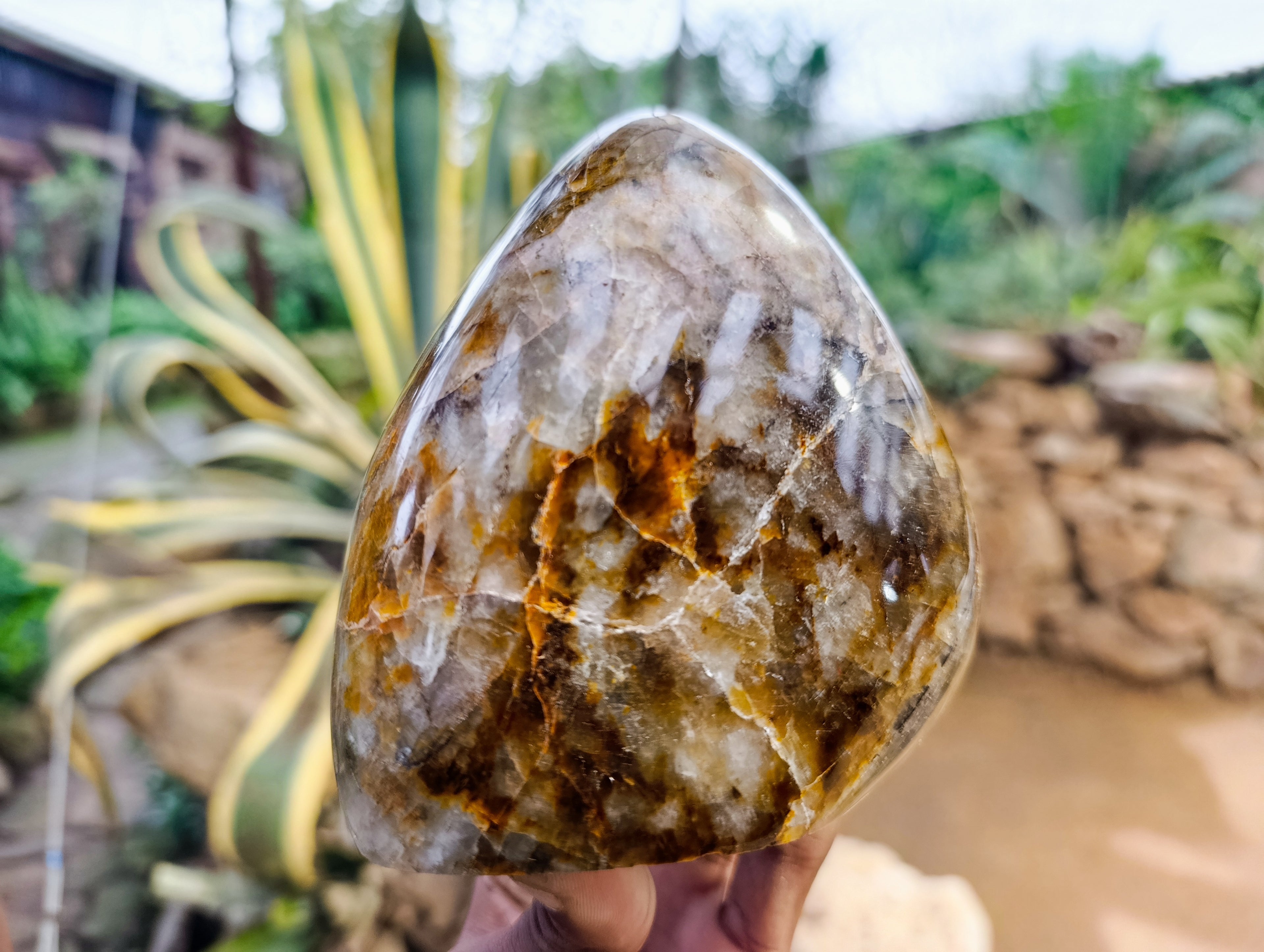 Polished Neolite Standing Free Forms x 2 From Prieska, South Africa - Toprock Gemstones and Minerals 