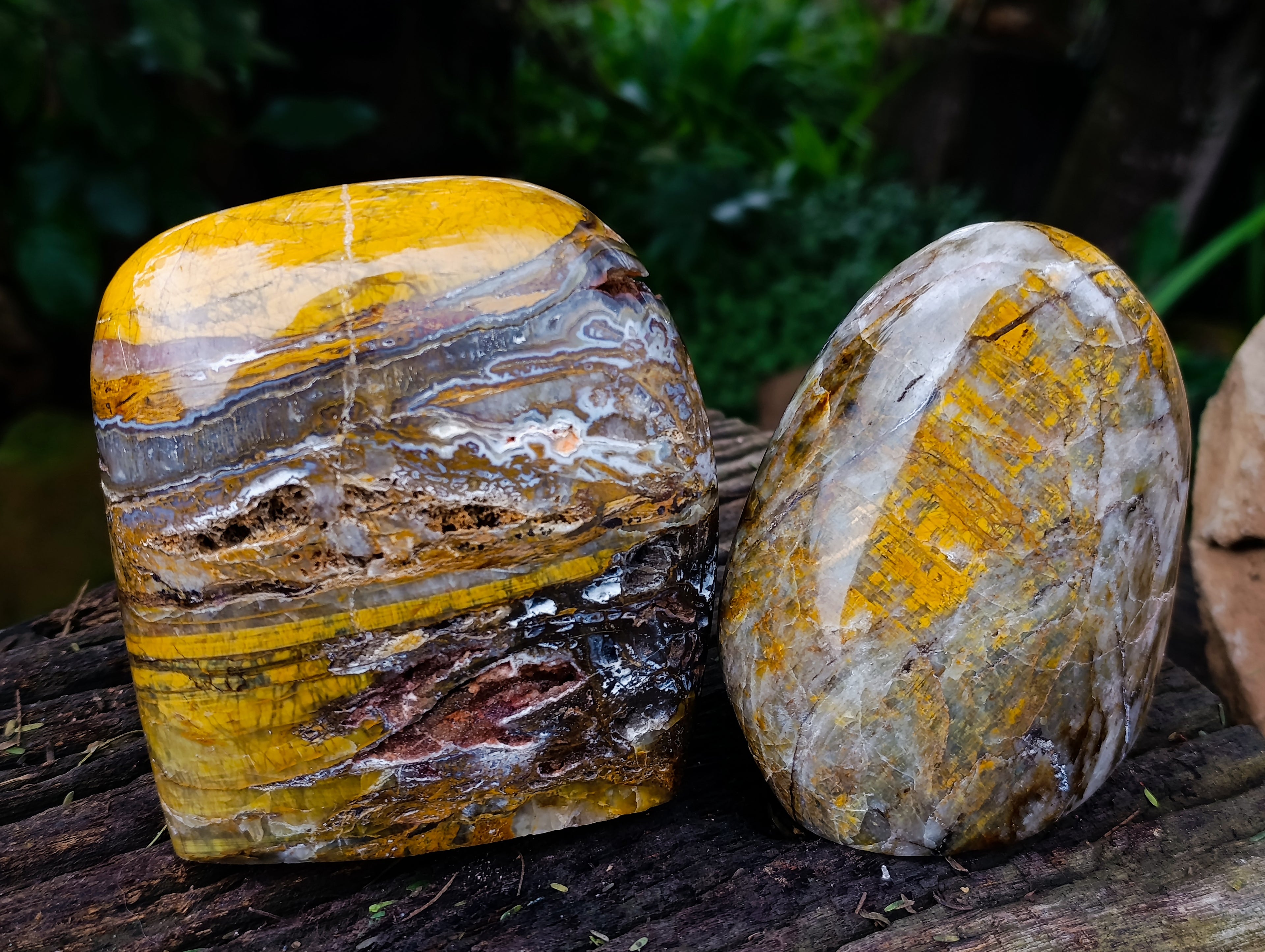 Polished Neolite Standing Free Forms x 2 From Prieska, South Africa - Toprock Gemstones and Minerals 