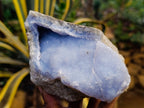 Natural Blue Lace Agate Geode Specimens x 6 From Nsanje, Malawi - Toprock Gemstones and Minerals 