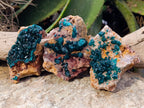 Natural Dioptase On Dolomite Specimens x 3 From Likasi, Congo - Toprock Gemstones and Minerals 