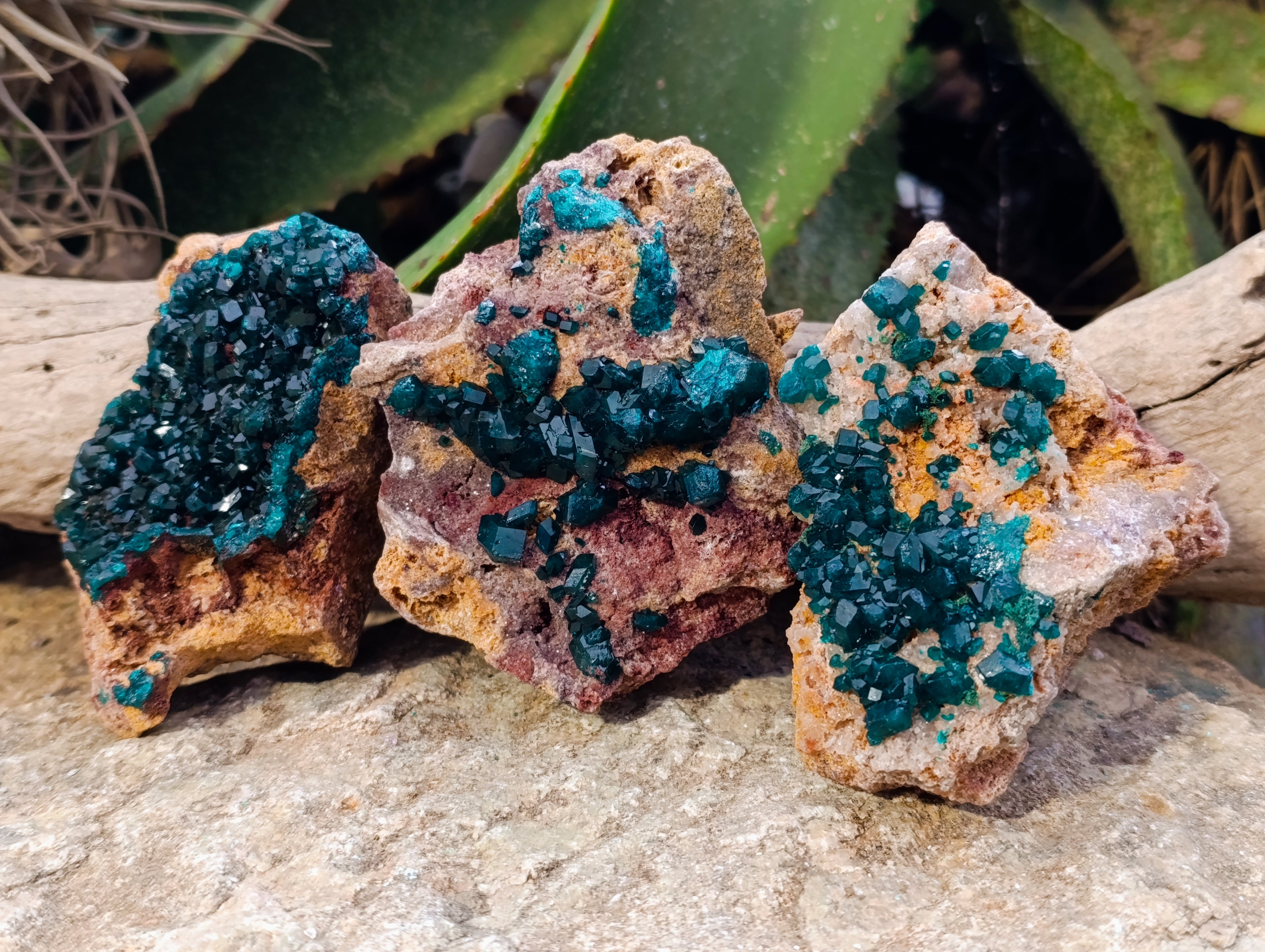 Natural Dioptase On Dolomite Specimens x 3 From Likasi, Congo - Toprock Gemstones and Minerals 