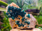 Natural Dioptase On Dolomite Specimens x 3 From Likasi, Congo - Toprock Gemstones and Minerals 
