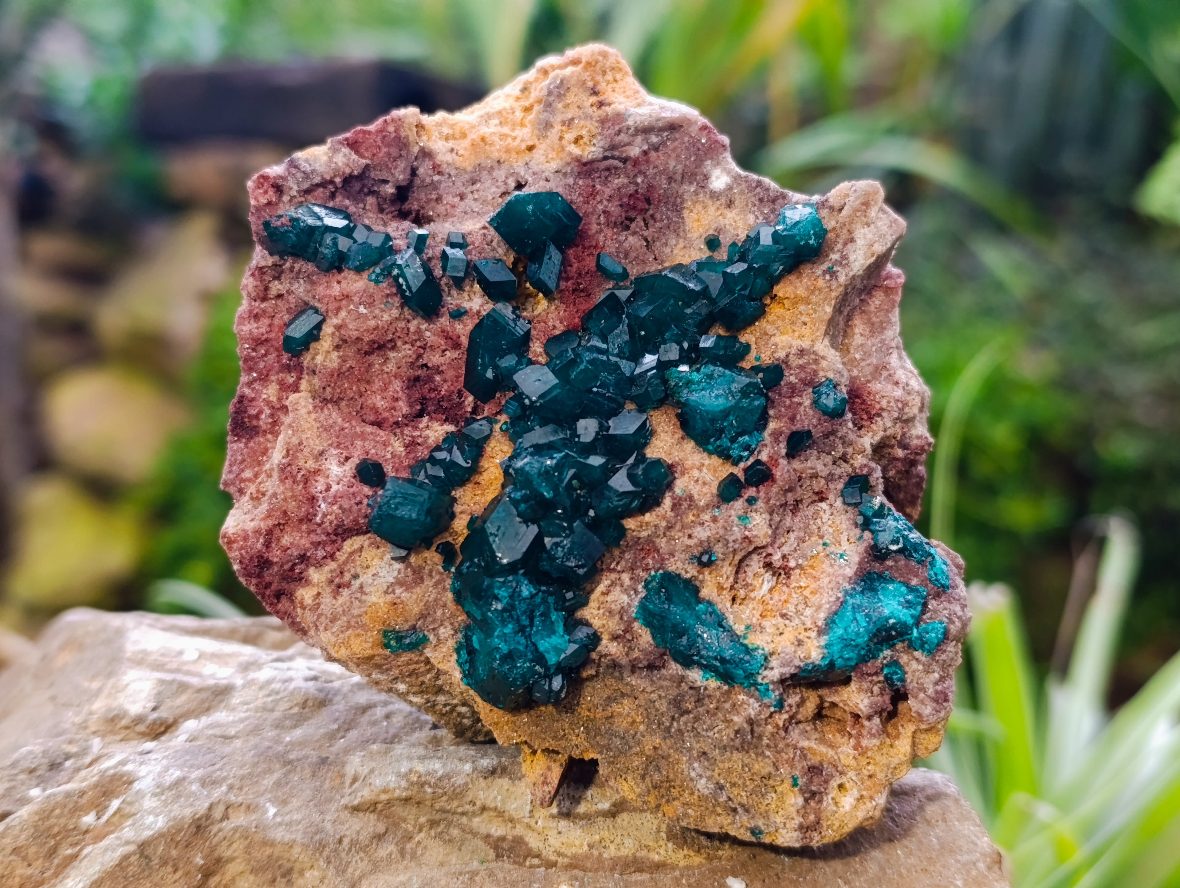 Natural Dioptase On Dolomite Specimens x 3 From Likasi, Congo - Toprock Gemstones and Minerals 