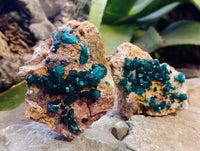 Natural Dioptase On Dolomite Specimens x 3 From Likasi, Congo - Toprock Gemstones and Minerals 