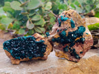 Natural Dioptase On Dolomite Specimens x 3 From Likasi, Congo - Toprock Gemstones and Minerals 