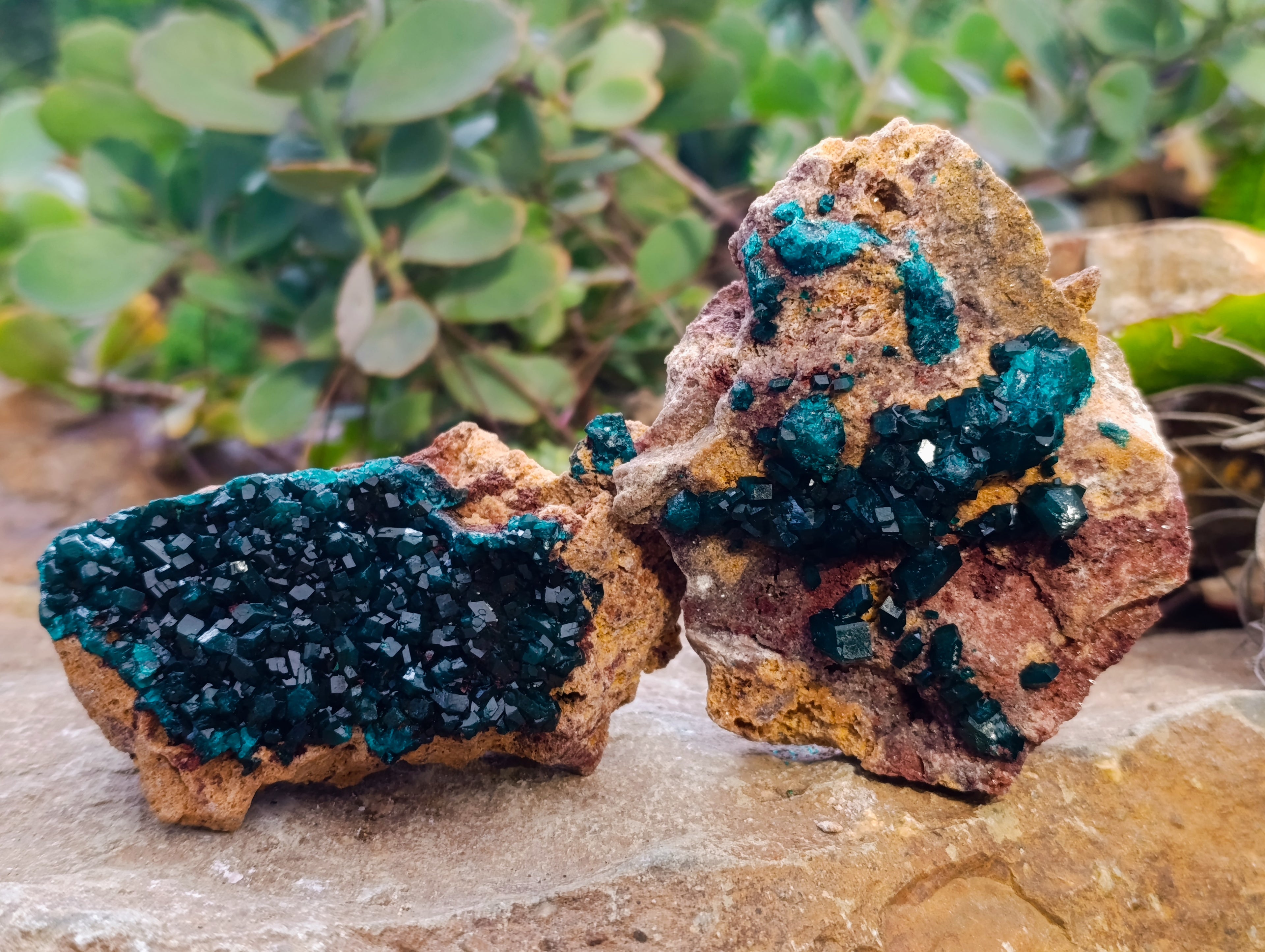 Natural Dioptase On Dolomite Specimens x 3 From Likasi, Congo - Toprock Gemstones and Minerals 