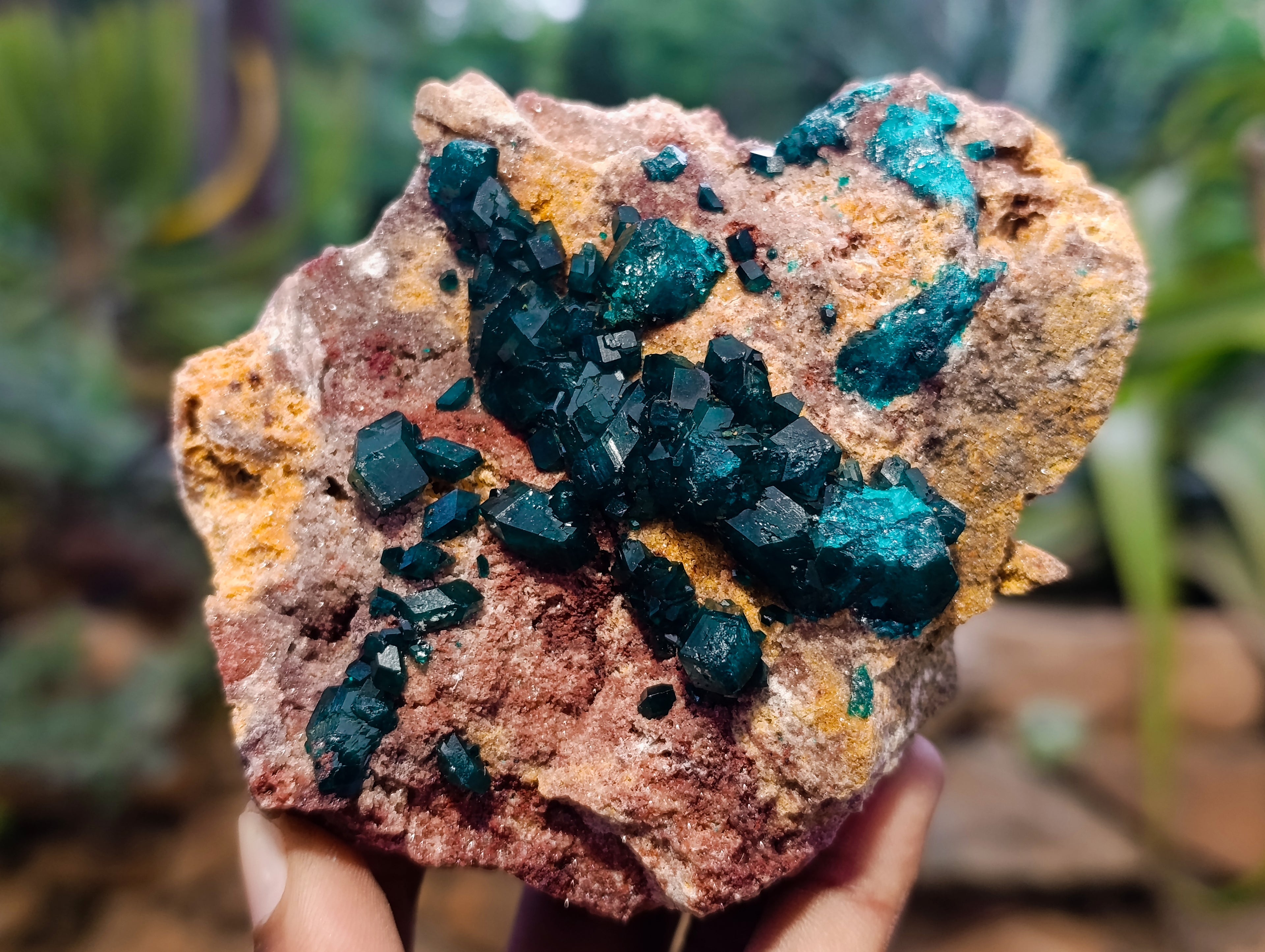 Natural Dioptase On Dolomite Specimens x 3 From Likasi, Congo - Toprock Gemstones and Minerals 