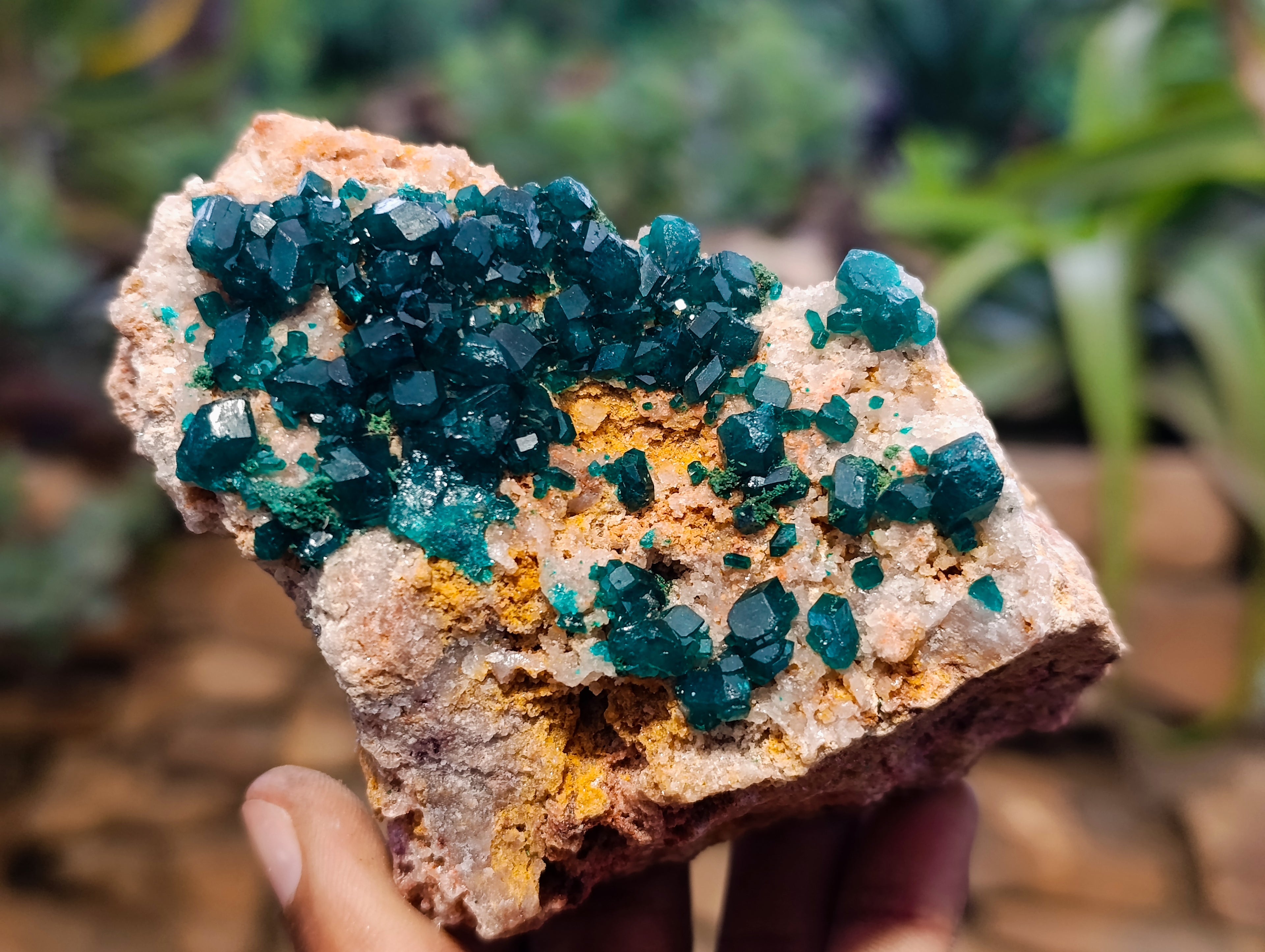 Natural Dioptase On Dolomite Specimens x 3 From Likasi, Congo - Toprock Gemstones and Minerals 