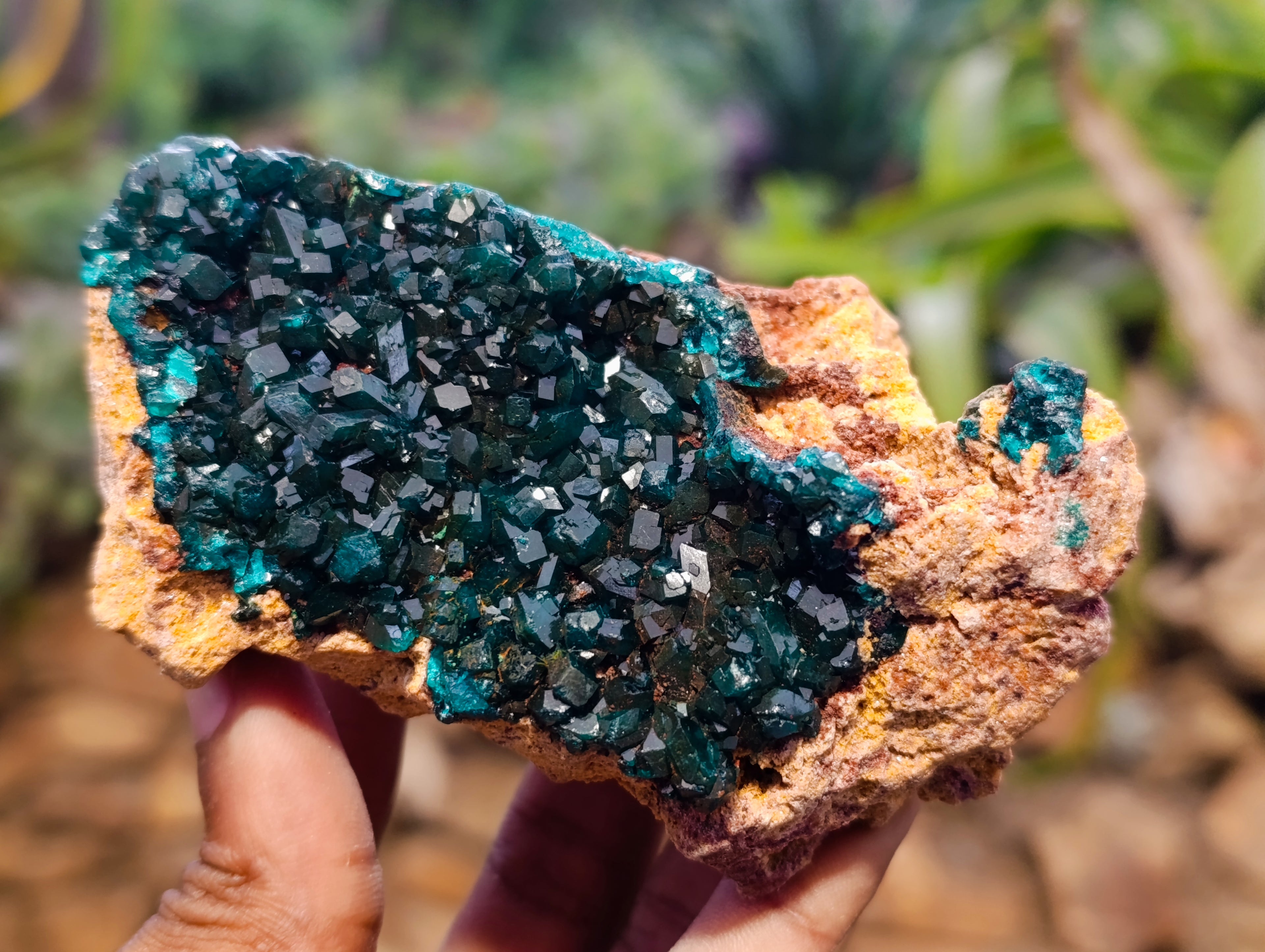 Natural Dioptase On Dolomite Specimens x 3 From Likasi, Congo - Toprock Gemstones and Minerals 