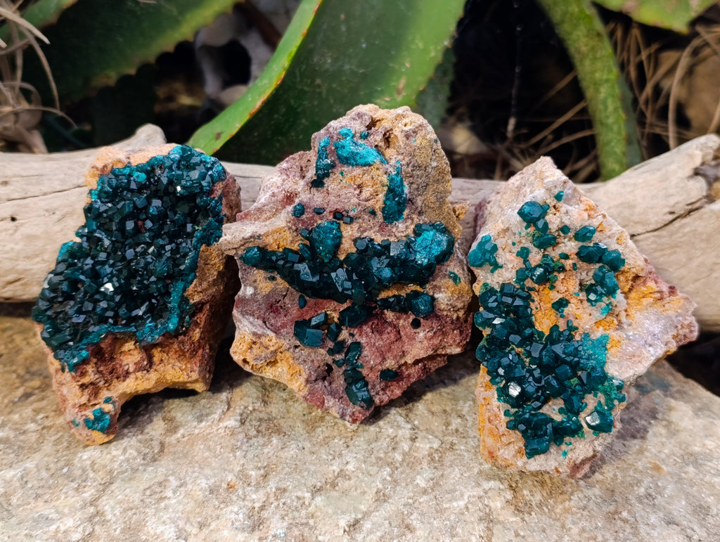 Natural Dioptase On Dolomite Specimens x 3 From Likasi, Congo - Toprock Gemstones and Minerals 