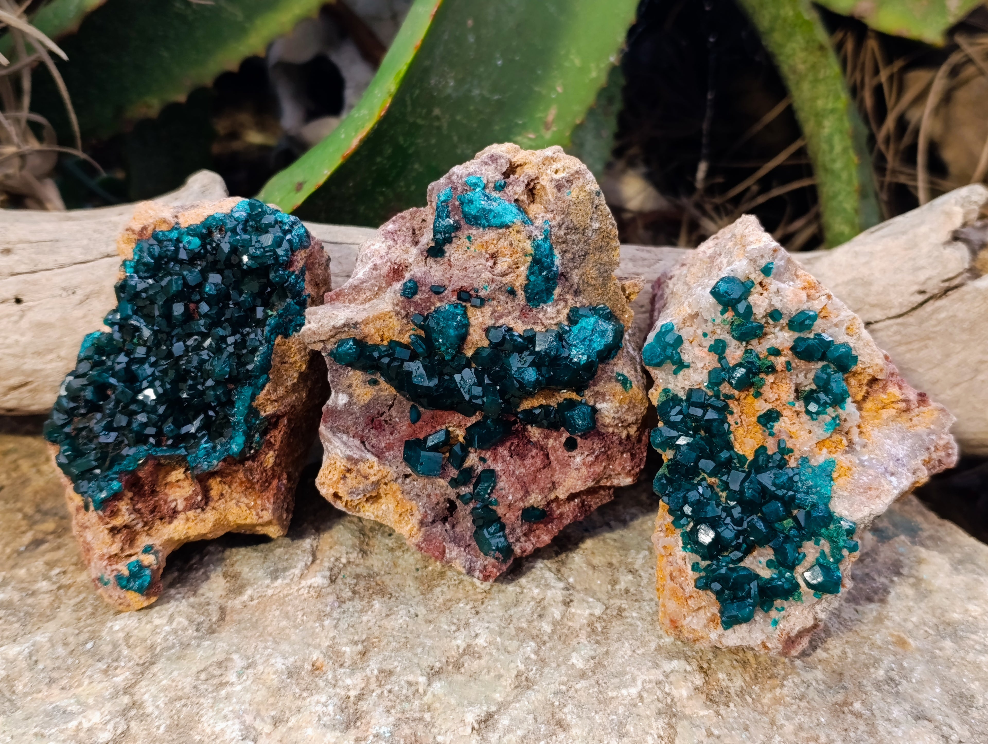 Natural Dioptase On Dolomite Specimens x 3 From Likasi, Congo - Toprock Gemstones and Minerals 