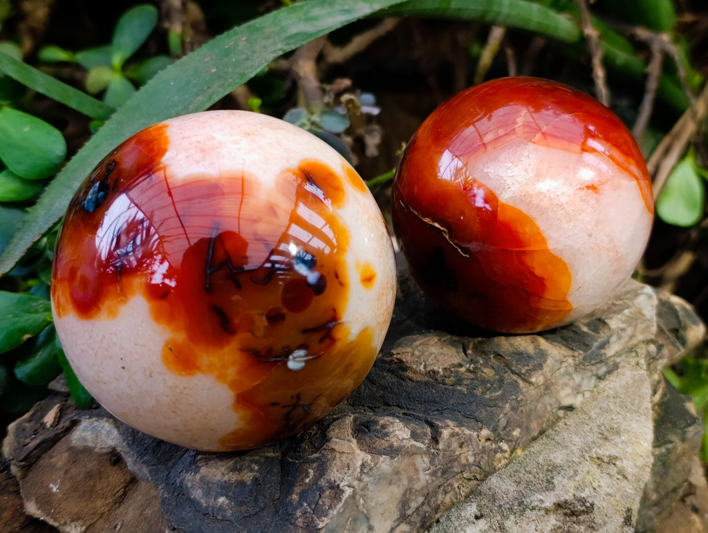 Polished Carnelian Spheres x 3 From Madagascar - Toprock Gemstones and Minerals 