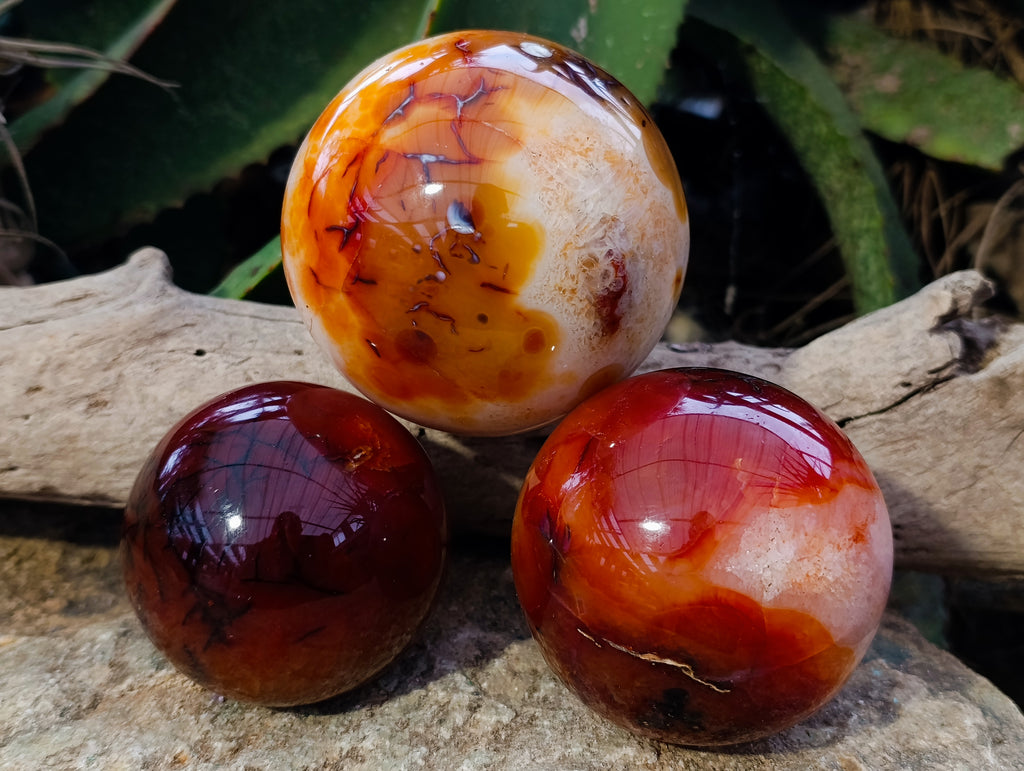 Polished Carnelian Spheres x 3 From Madagascar - Toprock Gemstones and Minerals 