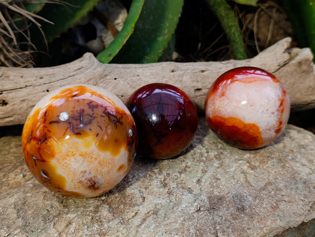 Polished Carnelian Spheres x 3 From Madagascar - Toprock Gemstones and Minerals 
