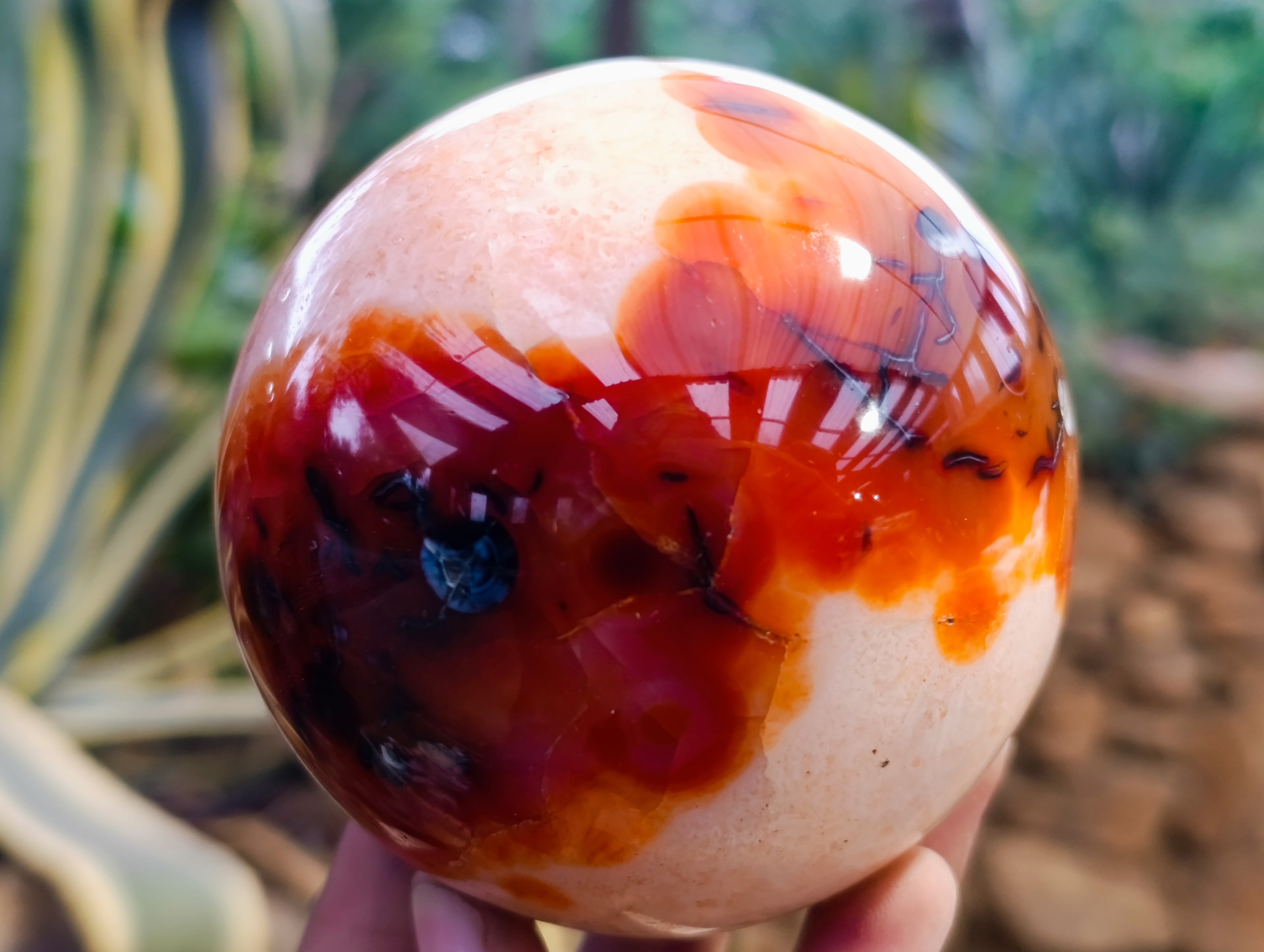 Polished Carnelian Spheres x 3 From Madagascar - Toprock Gemstones and Minerals 