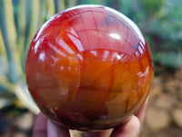 Polished Carnelian Spheres x 3 From Madagascar - Toprock Gemstones and Minerals 