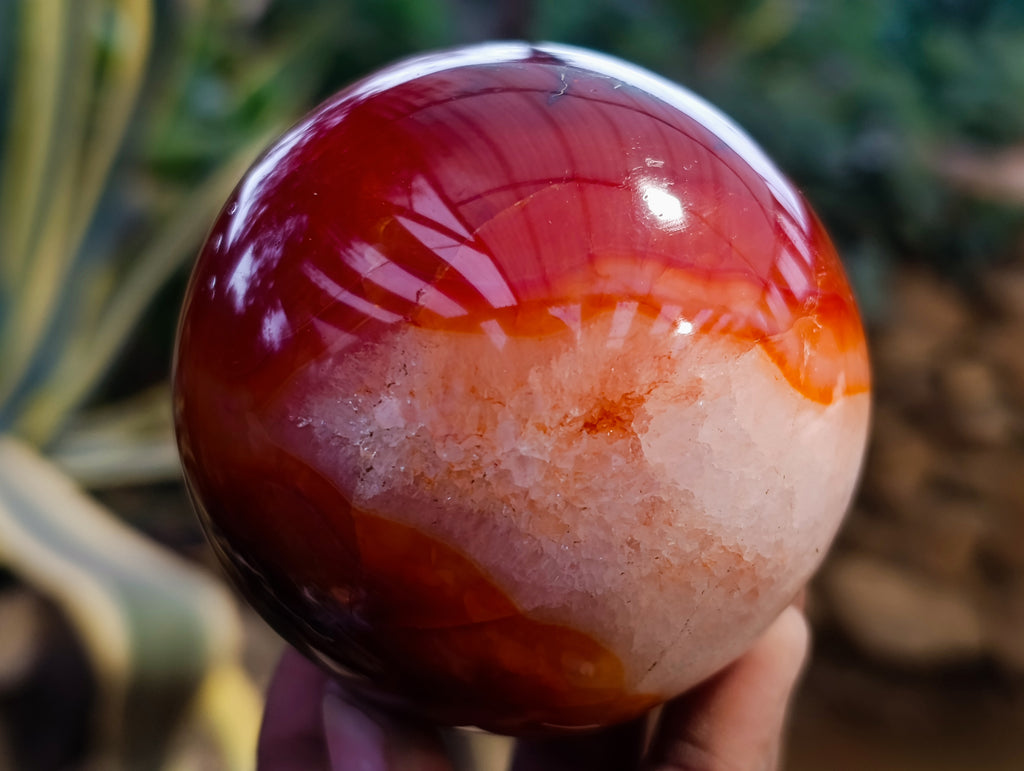 Polished Carnelian Spheres x 3 From Madagascar - Toprock Gemstones and Minerals 