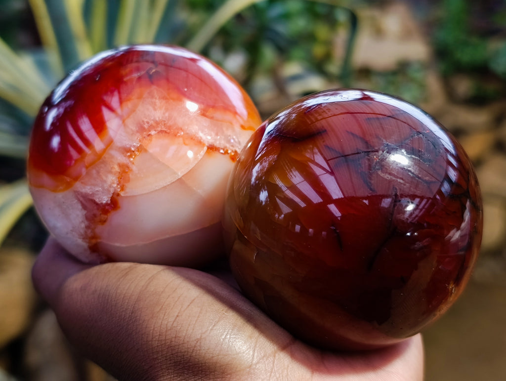 Polished Carnelian Spheres x 3 From Madagascar - Toprock Gemstones and Minerals 
