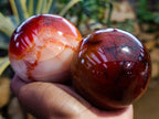 Polished Carnelian Spheres x 3 From Madagascar - Toprock Gemstones and Minerals 