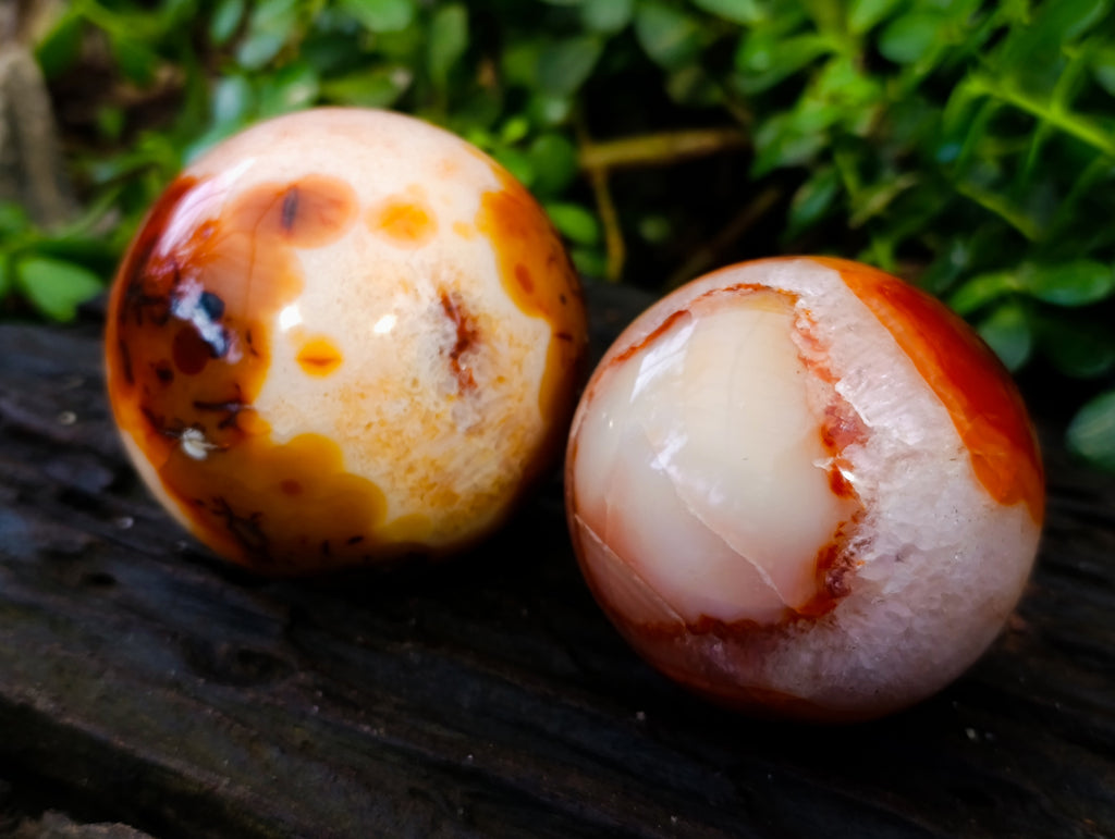Polished Carnelian Spheres x 3 From Madagascar - Toprock Gemstones and Minerals 