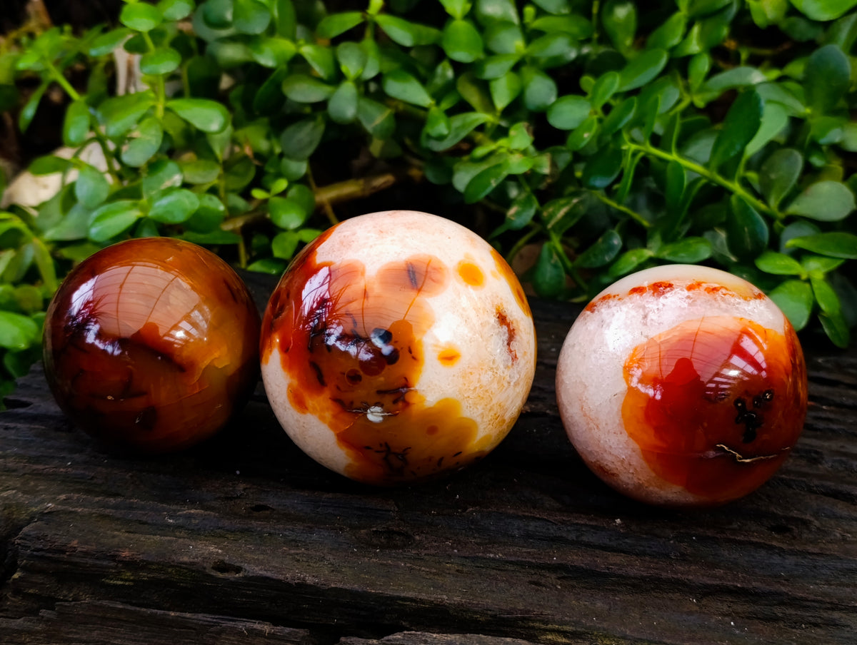 Polished Carnelian Spheres x 3 From Madagascar - Toprock Gemstones and Minerals 