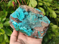 Natural Drusy Coated Chrysocolla with Malachite x 1 From Lupoto Mine, Congo