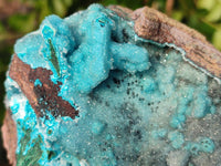 Natural Drusy Coated Chrysocolla with Malachite x 1 From Lupoto Mine, Congo