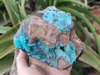 Natural Drusy Coated Chrysocolla with Malachite x 1 From Lupoto Mine, Congo