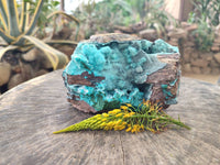 Natural Drusy Coated Chrysocolla with Malachite x 1 From Lupoto Mine, Congo