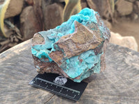 Natural Drusy Coated Chrysocolla with Malachite x 1 From Lupoto Mine, Congo