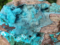 Natural Drusy Coated Chrysocolla with Malachite x 1 From Lupoto Mine, Congo