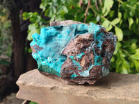 Natural Drusy Coated Chrysocolla with Malachite x 1 From Lupoto Mine, Congo