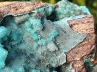 Natural Drusy Coated Chrysocolla with Malachite x 1 From Lupoto Mine, Congo